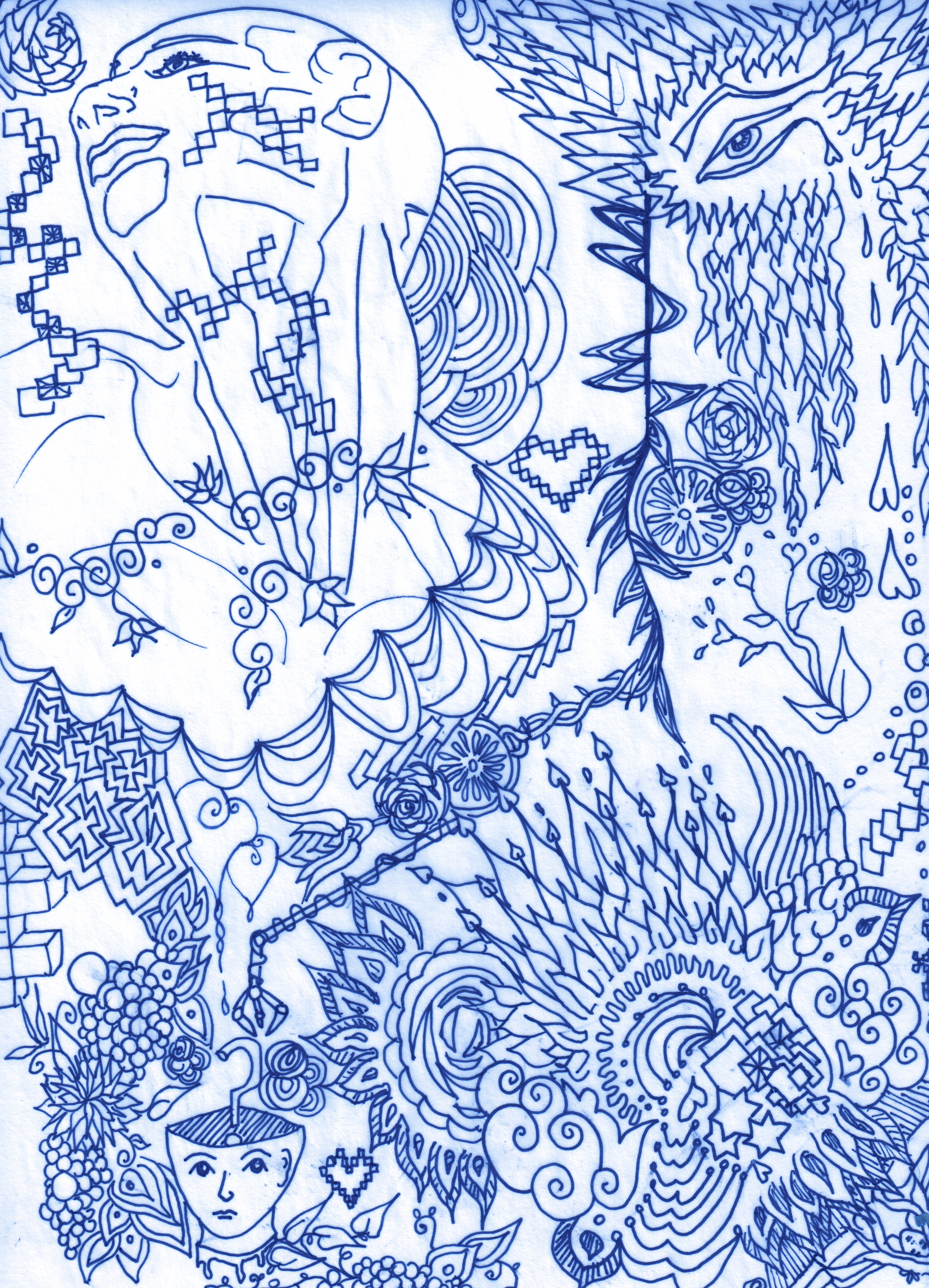 Scan