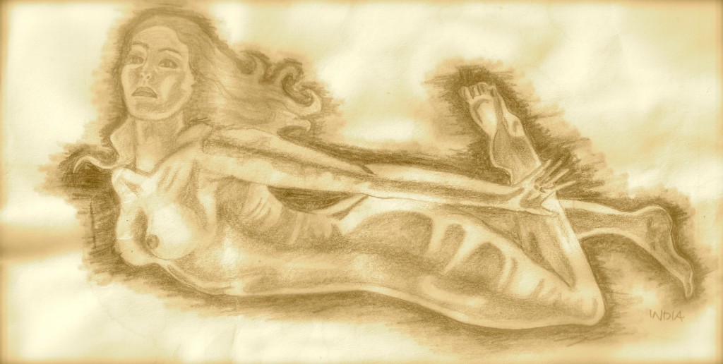Scan 8